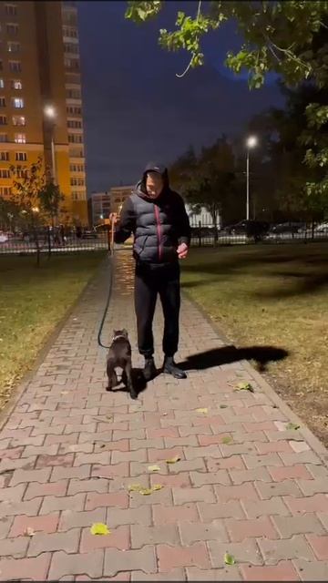 наш выпускник на прогулке