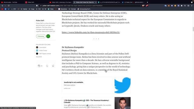 Topluluğun Yönettiği Bir Portfolio Düşünün/Polen Defi Nedir?Roco Finance Pollen Ön Satışına Katılım