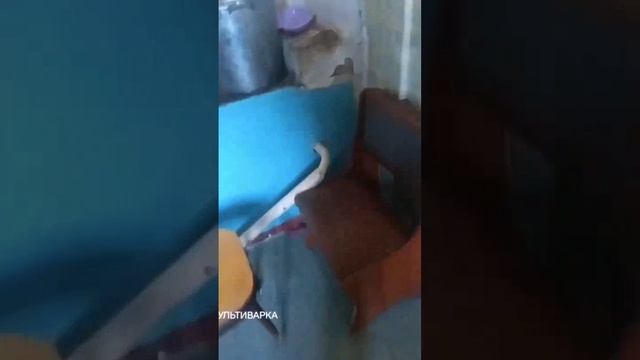 ОБНАРУЖИЛИ