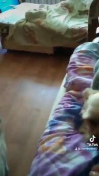 мои любимые мальчишки 💋💋💞