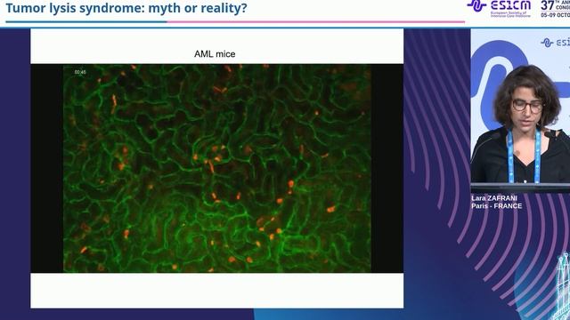 Tumor lysis syndrome myth or reality Lara Zafrani 2024