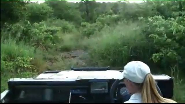 PM Drive With Tara - Wildearth/Safari Channel - Feb 10, 2011