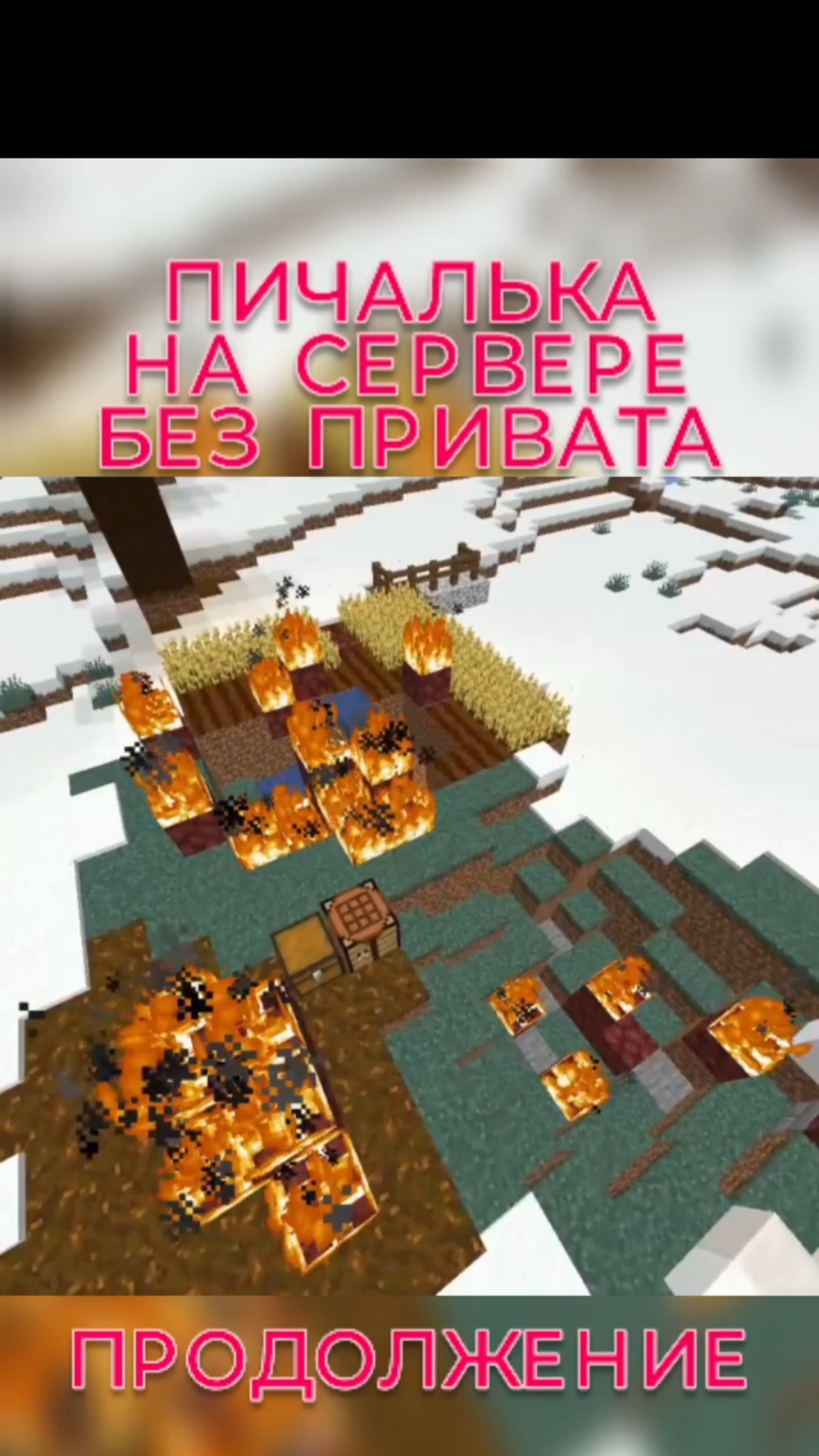 Пичалька на сервере без привата. Продолжение #minecraft