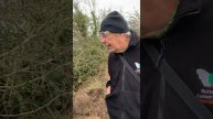 Rare butterfly found in Worcester.