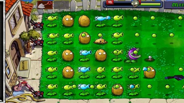 Plants Vs Zombies Level 10