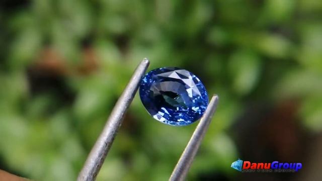 Natural Cornflower Blue Sapphire Sri Lanka - Choose your Own Natural Blue Sapphire from direct Sour