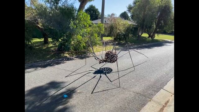 Giant  SPIDER. RUN! You SCARED yet? iI's GROSS how they eat YOU! Big spiders existed in the past.