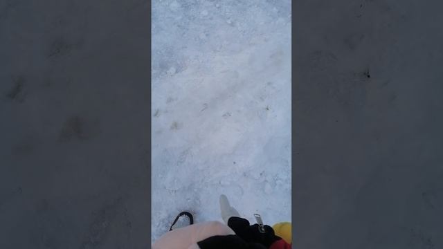 Детская площадка где живут монстры😰