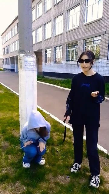 надпись: ВЫГУЛ СОБАК СТРОГО ЗАПРЕЩЕН shorts с @Nastyaaa0cute