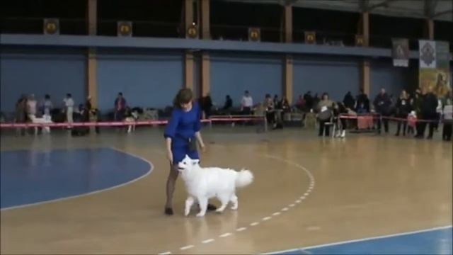 Начальная школа Ложкина и Близ Пушистое счастье