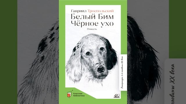 Белый Бим Черное Ухо. Повесть Гавриила Троепольского. Краткий пересказ.