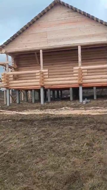 Февраль 2025. Сруб бани 6х6 с террасой 2 метра под двускатную крышу. Часть №2.