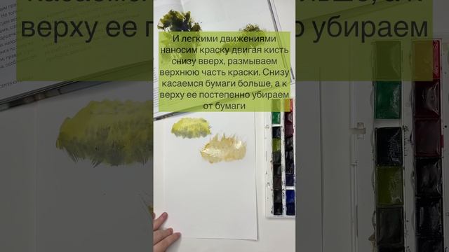 Как быстро нарисовать траву акварелью 3 способа