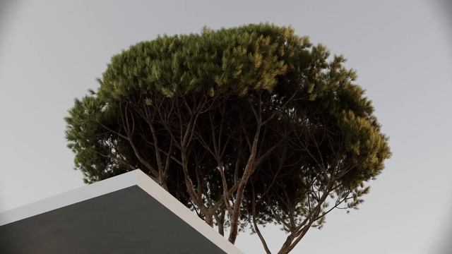 Sahara - Architecture Animation