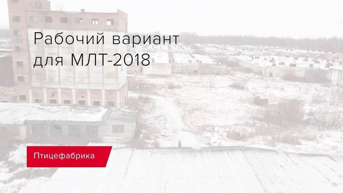 Рабочий вариант для МЛТ 2018. Птицефабрика