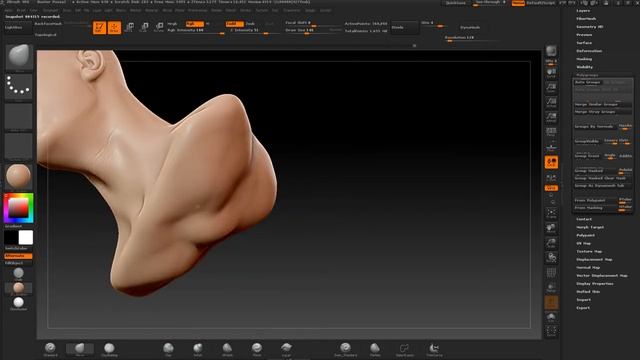 tutorial creating a human head in zbrush