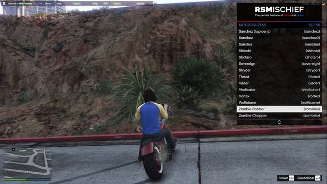SHADOW PC 2021 | Cloud Gaming  |  FiveM RSM FREEROAM #1