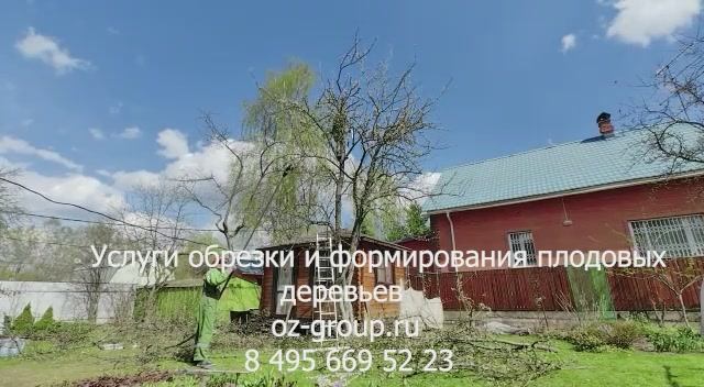 Услуги обрезки и формирования плодовых деревьев на даче. Выезд Агрономов по Москве и области.