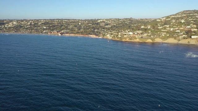 2 great friends at La Jolla Cove, San Diego, California.
