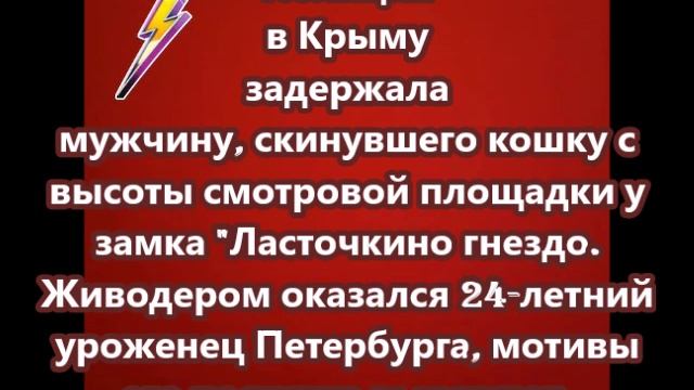 Полиция в Крыму задержала мужчину, скинувшего кошку с высоты смотровой площадки