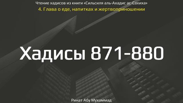 87. Сборник хадисов пророка Мухаммада ﷺ «Cильсиля аль-Ахадис ас-Сахиха» || Ринат Абу Мухаммад