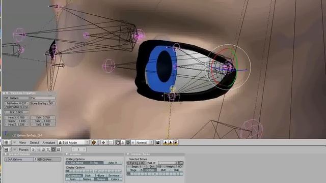 tp8000cfv's Blender tutorial: Face rigging prt5