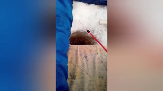 На рыбалке с сестрой .