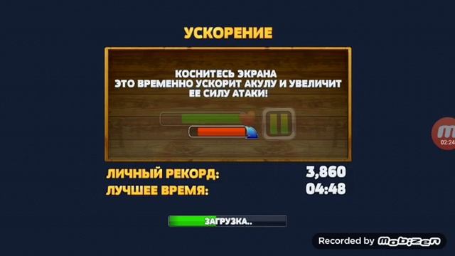 Акула