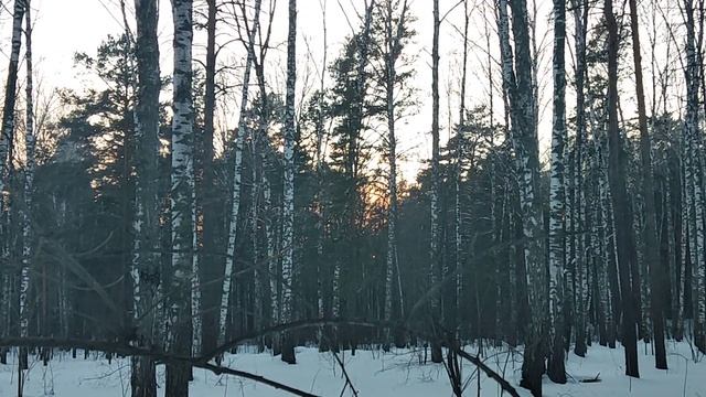 Прямо с лыж ⛷️: поздравляю с Днём защитника Отечества и объясняю историю этого праздника. Красная А