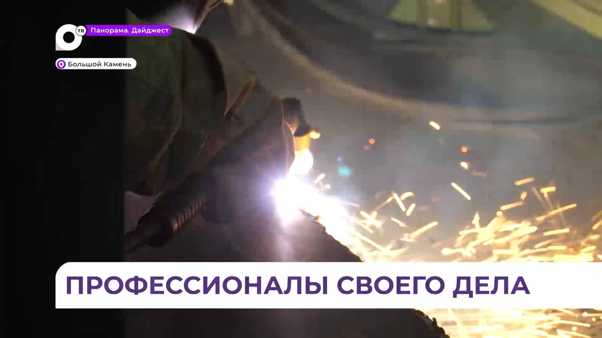 Этап Чемпионата «Профессионалы» в Большом Камне объединил десятки участников со всего Приморья