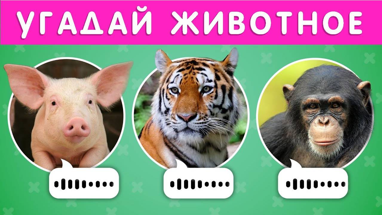 УГАДАЙ ЖИВОТНОЕ ПО ЗВУКУ 🐷🐱🐺