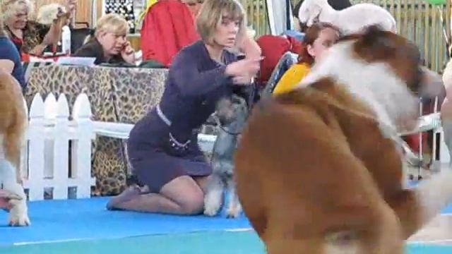 CAC Новосибирск 1 мая 2011 г.wmv