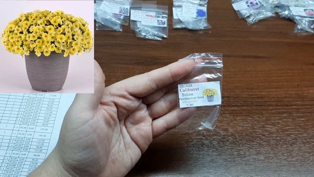 Семена цветов из интернет магазина Соло. Часть 1