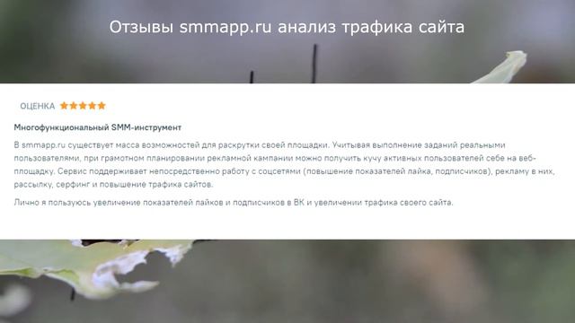 Отзывы smmapp.ru анализ трафика сайта