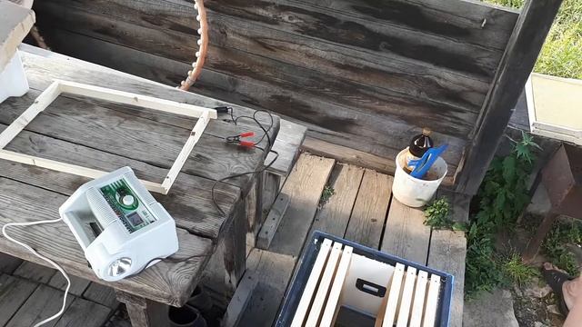 Рой 9 июля 2019  Готовлю улей для заселения роя пчёл.