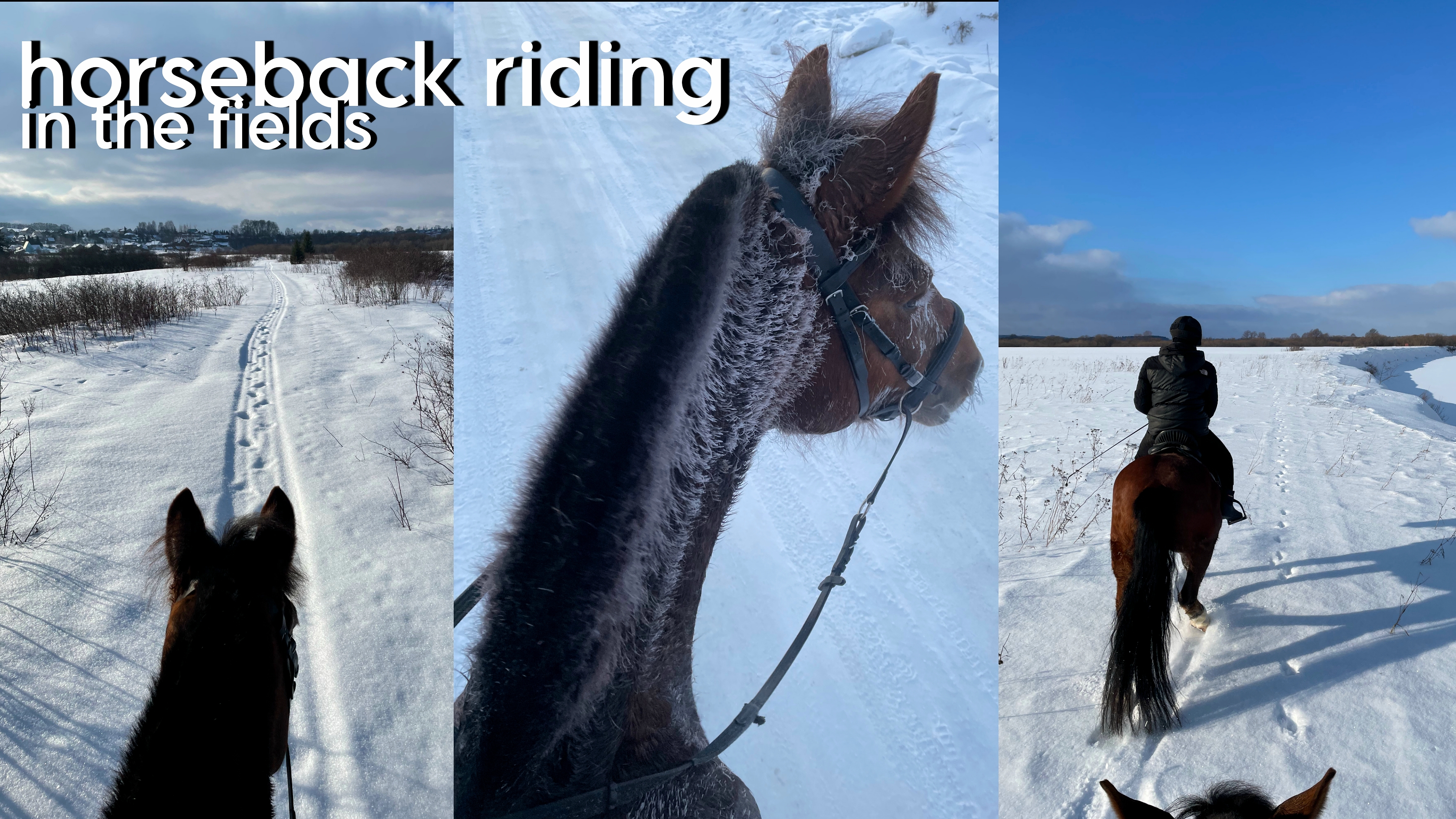 horseback riding in the fields!