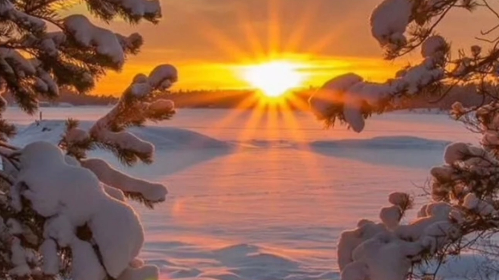 Весна не за горами! 🌞