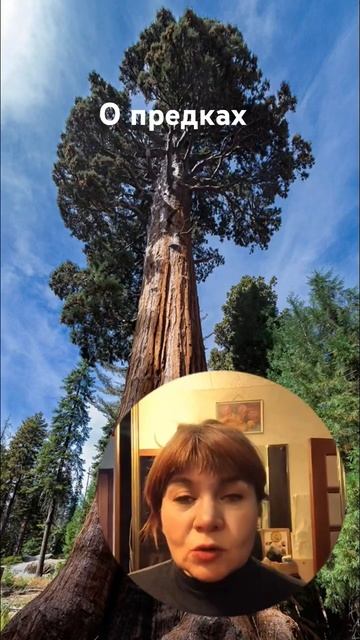 #психология