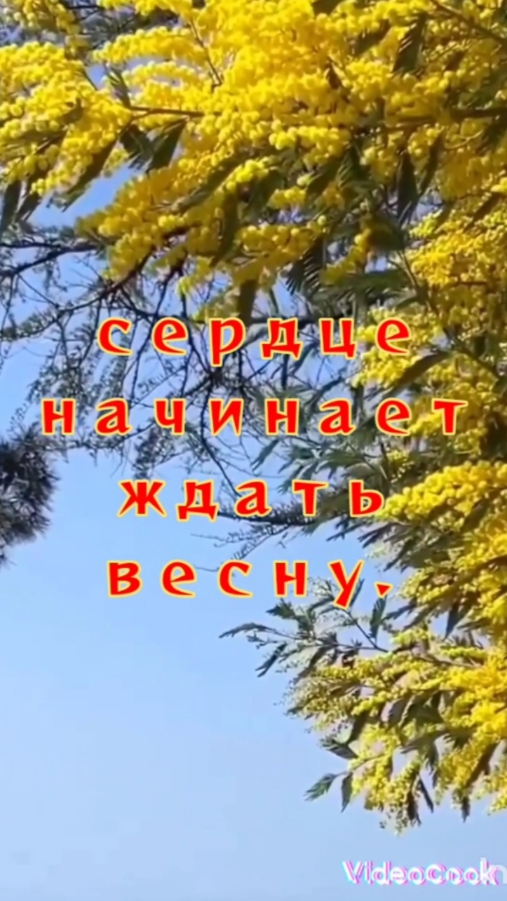 Я украду все звезды для тебя