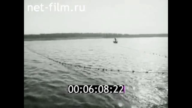 1979г. Нижний Тагил. рыбное хозяйство.