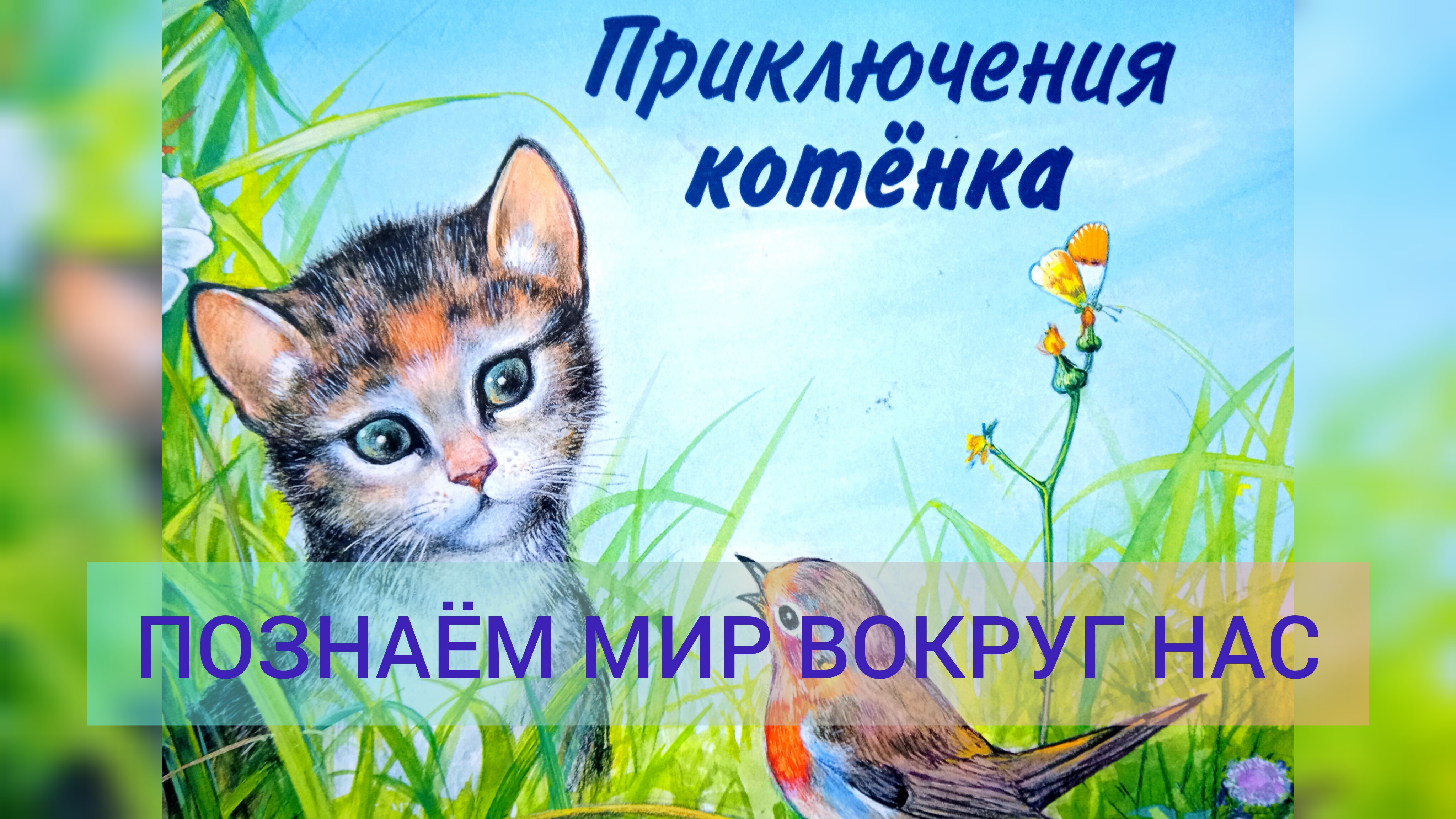 ПРИКЛЮЧЕНИЕ КОТЕНКА