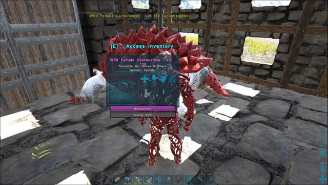 HOW TO TAME A CARBONEMYS 150 Lvl TRIBE GREEK BROTHERS