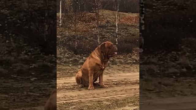 Тебя не уже три года, легче не стало, просто привыкаешь жить с болью