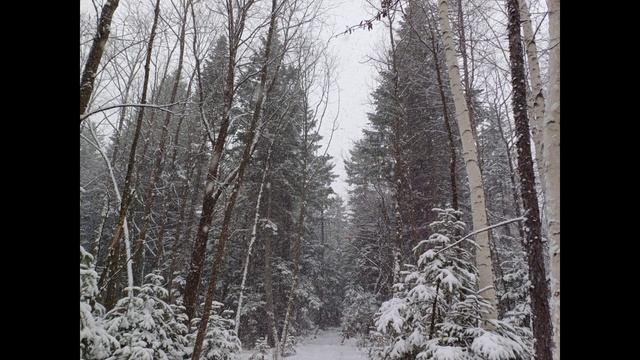 Домой (песня)