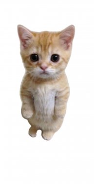 играю в стенндов