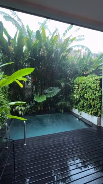 Дождливое настроение