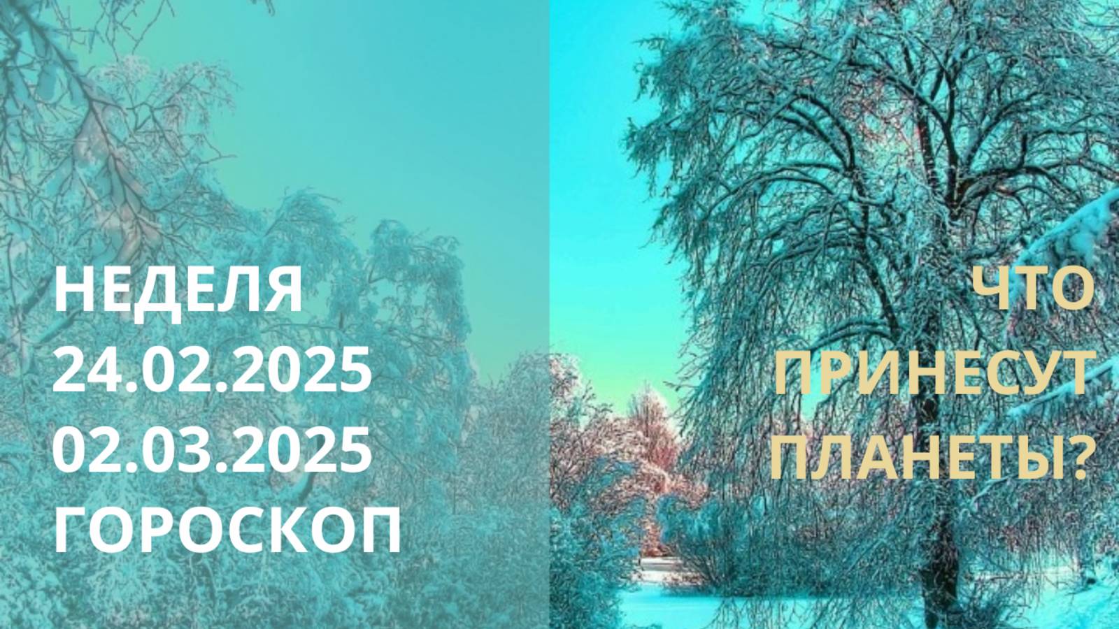 ⭐ ПРОГНОЗ НА НЕДЕЛЮ С 24.02.2025 ПО 02.03.2025 ⭐ Контакты floransia@yandex.ru