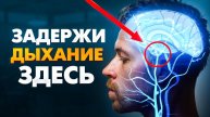 РАЗОБЛАЧЕН Метод Дыхания Элит и Это Меняет ВСË! Дыши Та