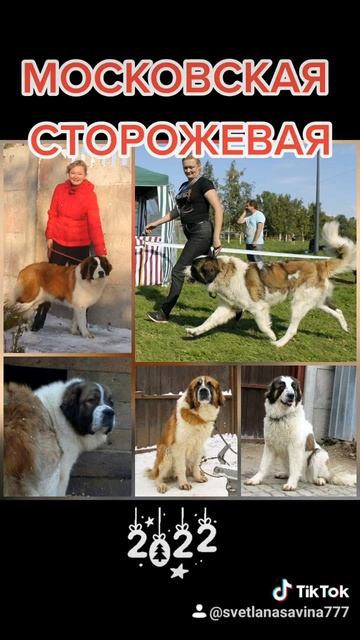 31 декабря 2021 г.