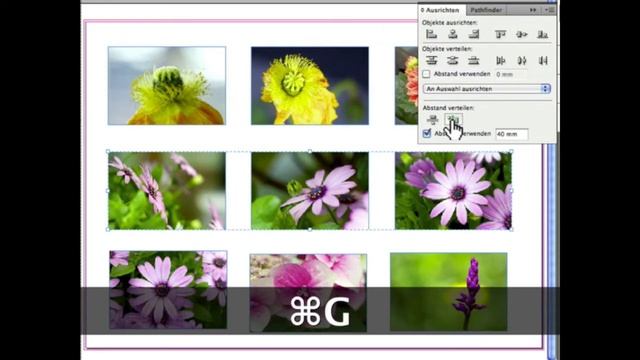 InDesign: Anordnen und ausrichten